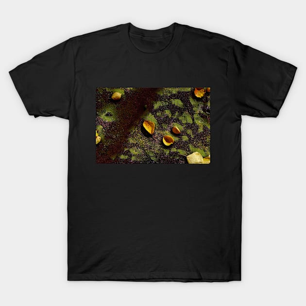 Fallen Autumn Leaves on the Grass T-Shirt by mavicfe